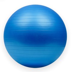 Avalanche Fitness - 75cm Anti-burst Exercise Gym Ball