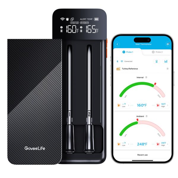 Govee Smart Wireless Meat Thermometer (2-Probe) - Smart Cooking/Braai