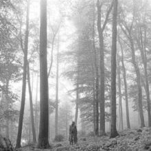 Folklore (Vinyl / 12" Album)