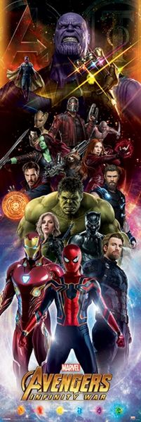 Avengers: Infinity War - Characters Door Poster
