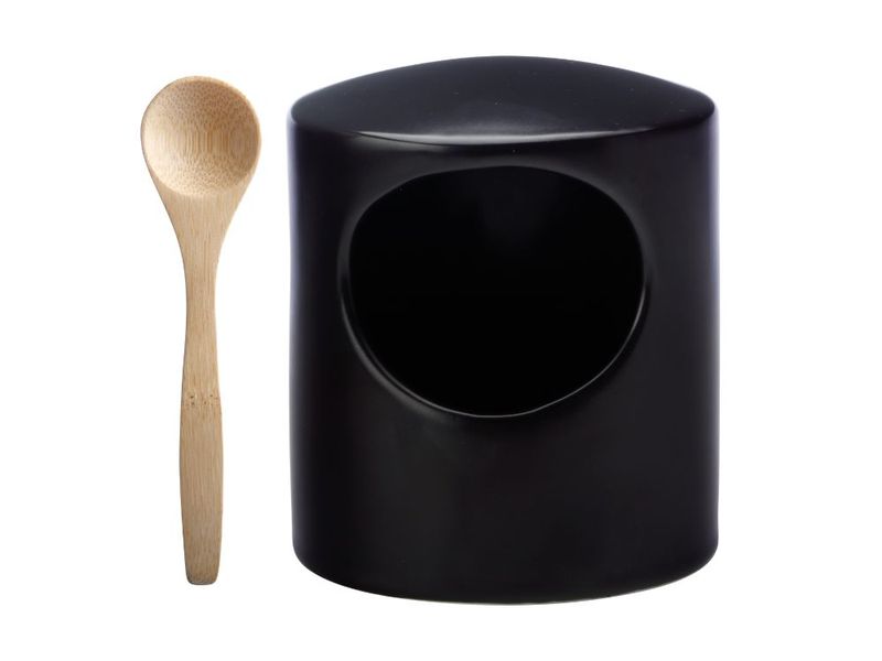 Maxwell and Williams Epicurious Salt Pig with Wooden Salt Spoon