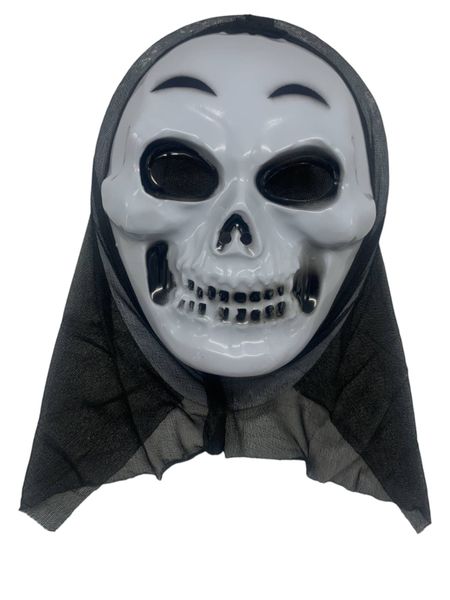 White Grinning Skull with Veil Halloween Mask
