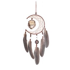 Dream Catcher Owl