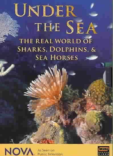 Nova - Under the Sea: The Real World of Sharks, Dolphins, and Seahorses - (Region 1 Import DVD)