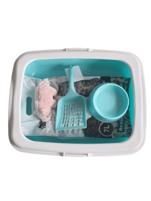 Pawsome Cat Starter Kit Green