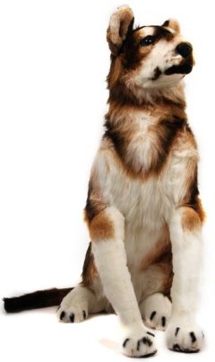 Hank the Husky - Plush Toy