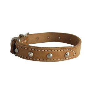 Dog Collar Plain - #4 - 19 X 460mm - 6 Pack