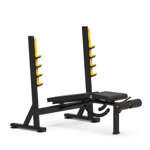 Olympic Adjustable Bench Press