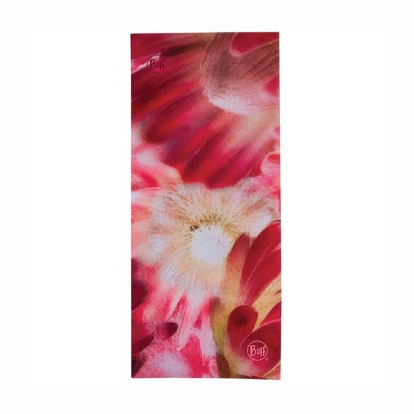 Buff Original SA Collection Protea