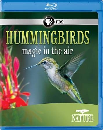 Nature: Hummingbirds (Blu-ray)