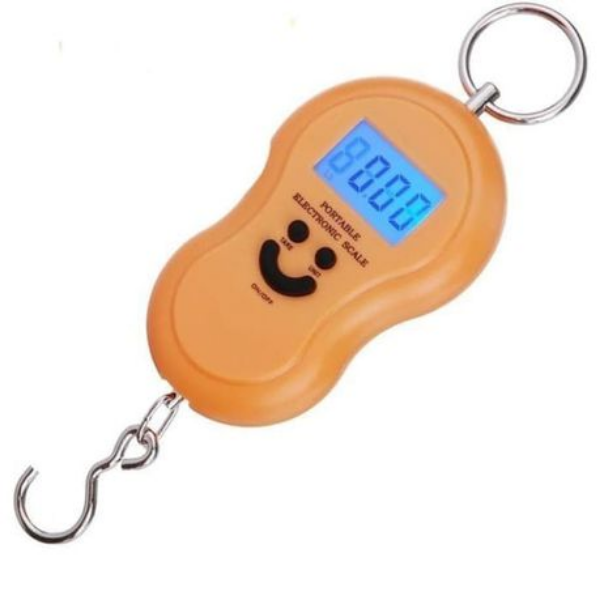 Scale - Portable - Electronic