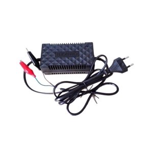 12V 2A Intelligent Pulse Chargers