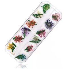 Nail Art - Dry Flowers Tray