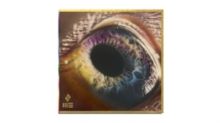 WE (CD / Album)