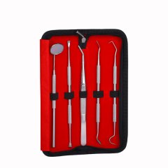 5 Pieces Tooth Cleaning Kit, Stainless Steel Dental Tool