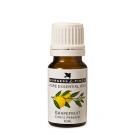 Burgess &amp; Finch Aromatherapy Oil Grapefruit 10ml