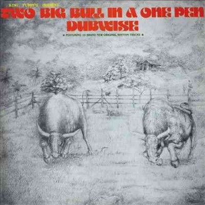 Two Big Bull in a One Pen (Dubwise) (Vinyl / 12" Album)