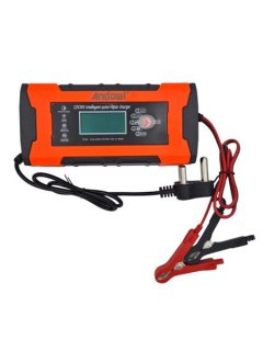 Andowl Intelligent Pulse Repair Charger 12V24V