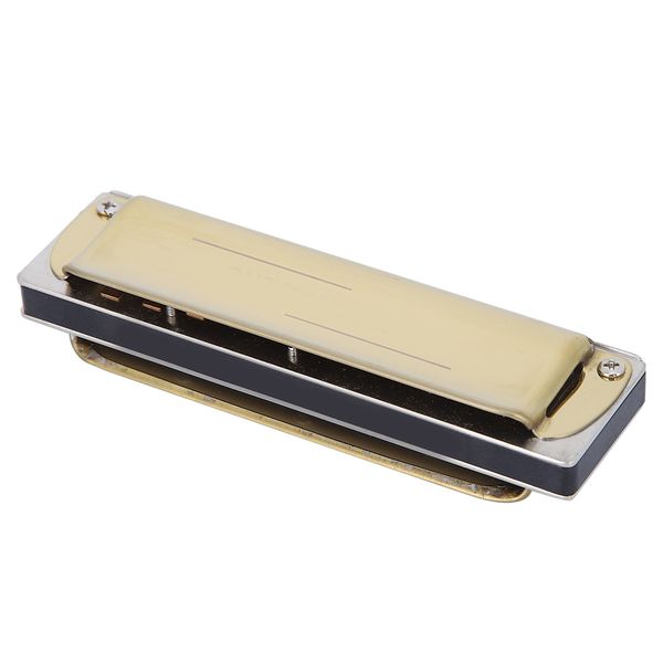10-Hole Blues Harp Professional Mouth Organ G Key Compatible with Hohner