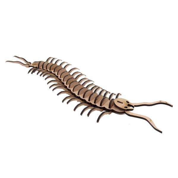 Wow We - 3D Wooden Model Insects Centipede