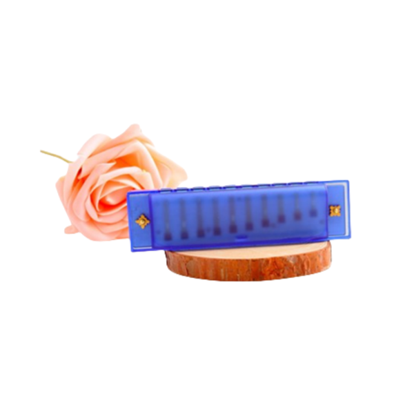 East top Blues Harmonica, Diatonic 10 Holes C Key Happy Harmonica
