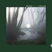 To the Earth (Vinyl / 12" Album)