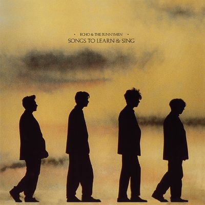 Songs to Learn &amp; Sing (Vinyl / 12" Album)