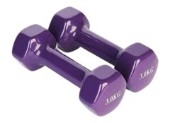 Vinyl Dipped Dumbbell 3Kg