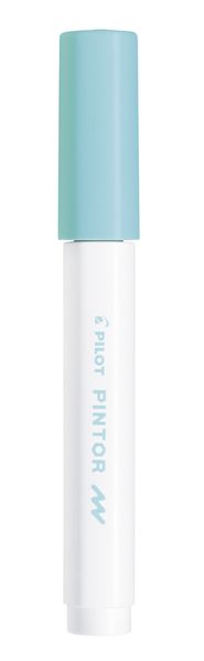 Pilot SW-PT Fine Point Pintor Paint Marker - Box of 6 - Pastel Green