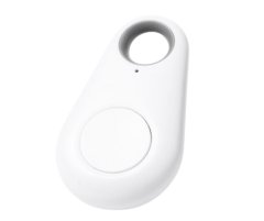 Tracker Key Tag