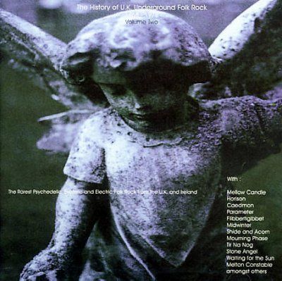 History of UK Folk Rock V2 - (Import CD)