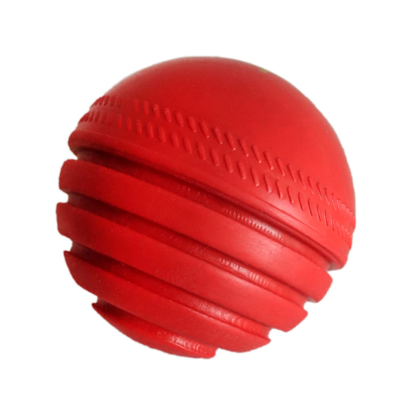 NAS Swing Ball Cricket Ball Swing Balling Precession &amp; Accuracy Practice