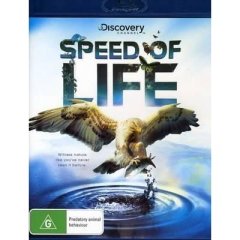 Speed of Life(Blu-ray)