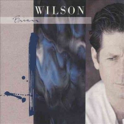 Brian Wilson - Brian Wilson (CD)