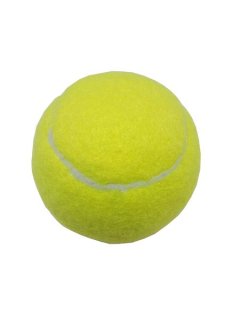Fury Tennis Ball - Can of 3