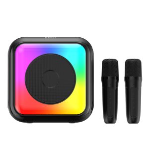 HAVIT SK842BT Wireless Karaoke Speaker with Microphones