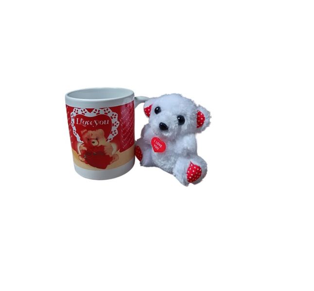 Teddy Bear and Ceramic Mug Gift for Someone Special Mother's Day Gift