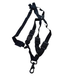 Harness for Saxophone