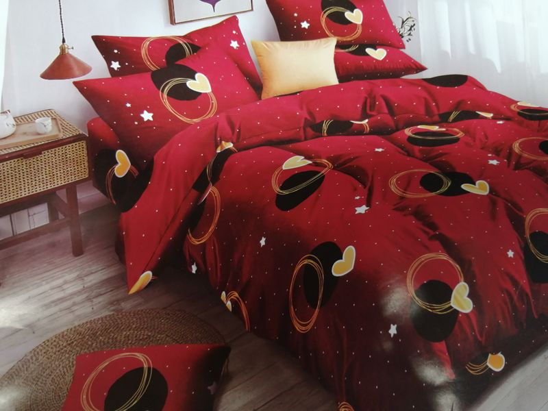 6 Piece Red Heart Duvet Cover Set
