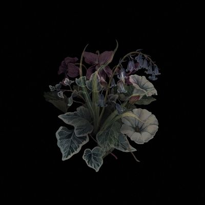 Wildflowers (Vinyl / 12" Album)