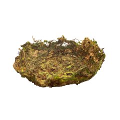 Trinket Tray - Natural - Brown &amp; Green