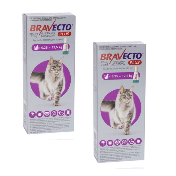 Bravecto Plus for Large Cats 6.25 - 12.5KG - 2 Pack