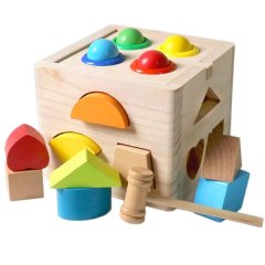 15 Pieces Blocks of Educational Wooden Shape Sorter Toy