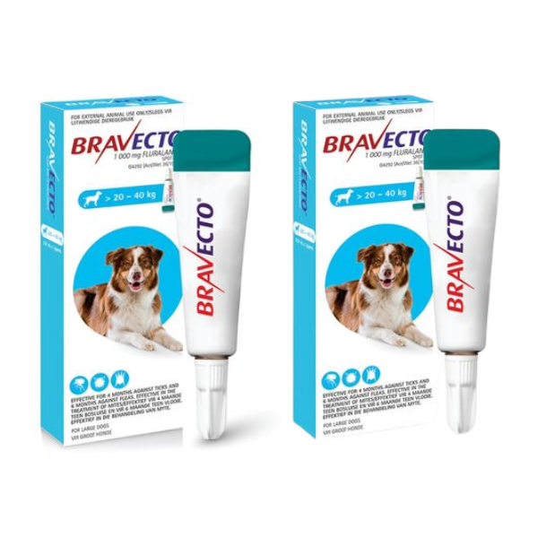 Bravecto Tick &amp; Flea Spot-On Dog Large >20 - 40kg (Blue Box) - 2 Pack