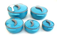Food Warmers Thermo Containers 5-Piece Set - 500ml to 4500ml - Blue