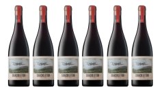 Shackleton Pinot Noir (Case of 6)
