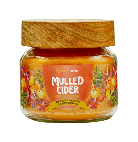 Nature's Forest - Mulled Cider Candle - 2 Wciks