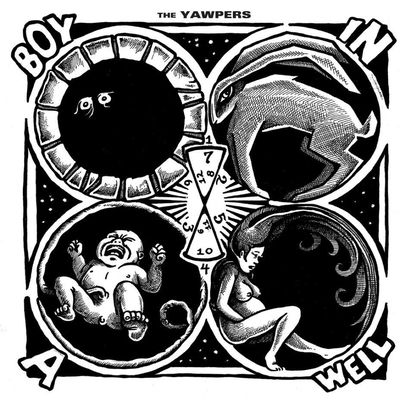 Boy in a Well (Vinyl / 12" Album)