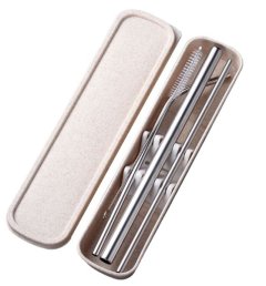 Reusable Stainless Steel Drinking Straws - 4 Piece Set