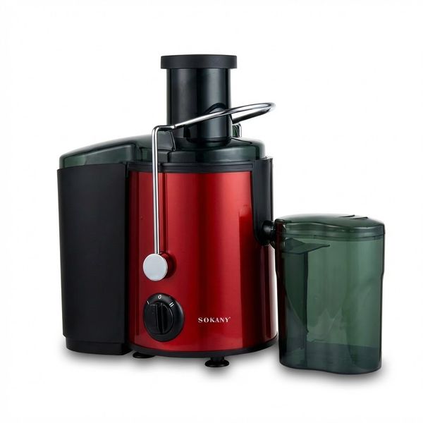 800W Electric Juice Extractor Stainless Steel Whole Fruit Juicer Machine